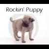 Rockin' Puppy