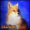 stefan_fox