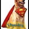 Steeldog