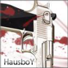 HausboY
